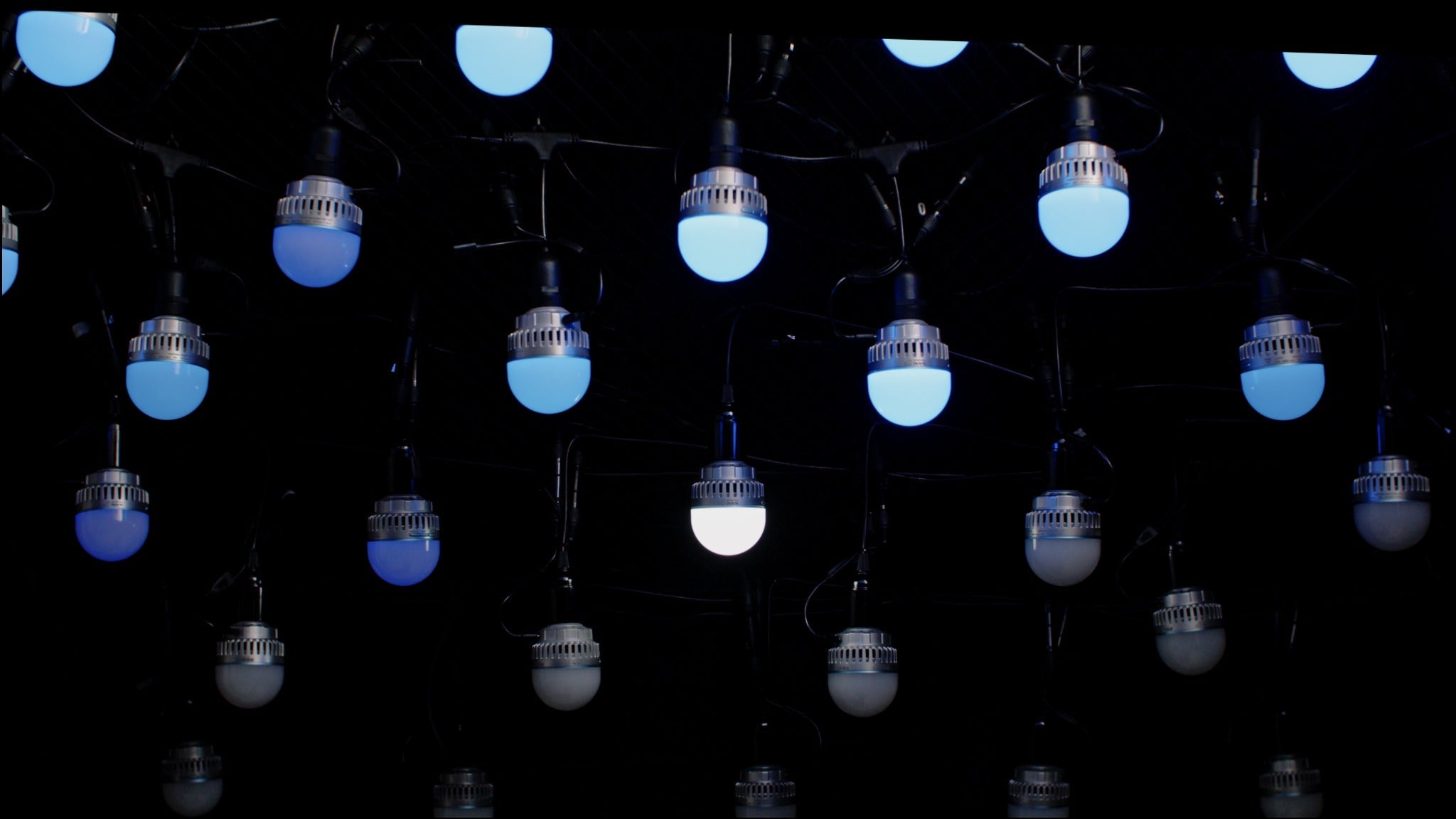PavoBulb