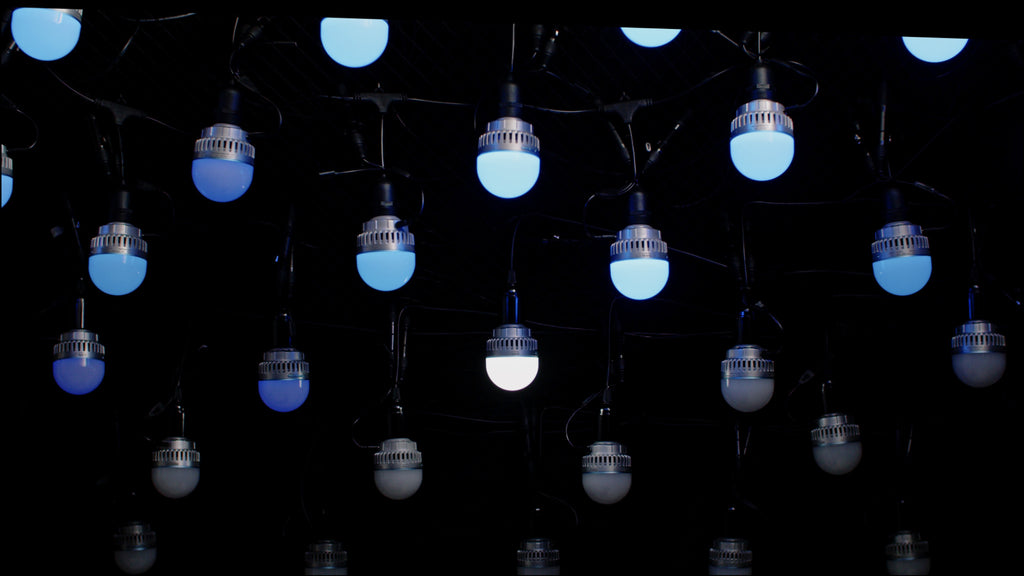 NANLITE PavoBulb 10C