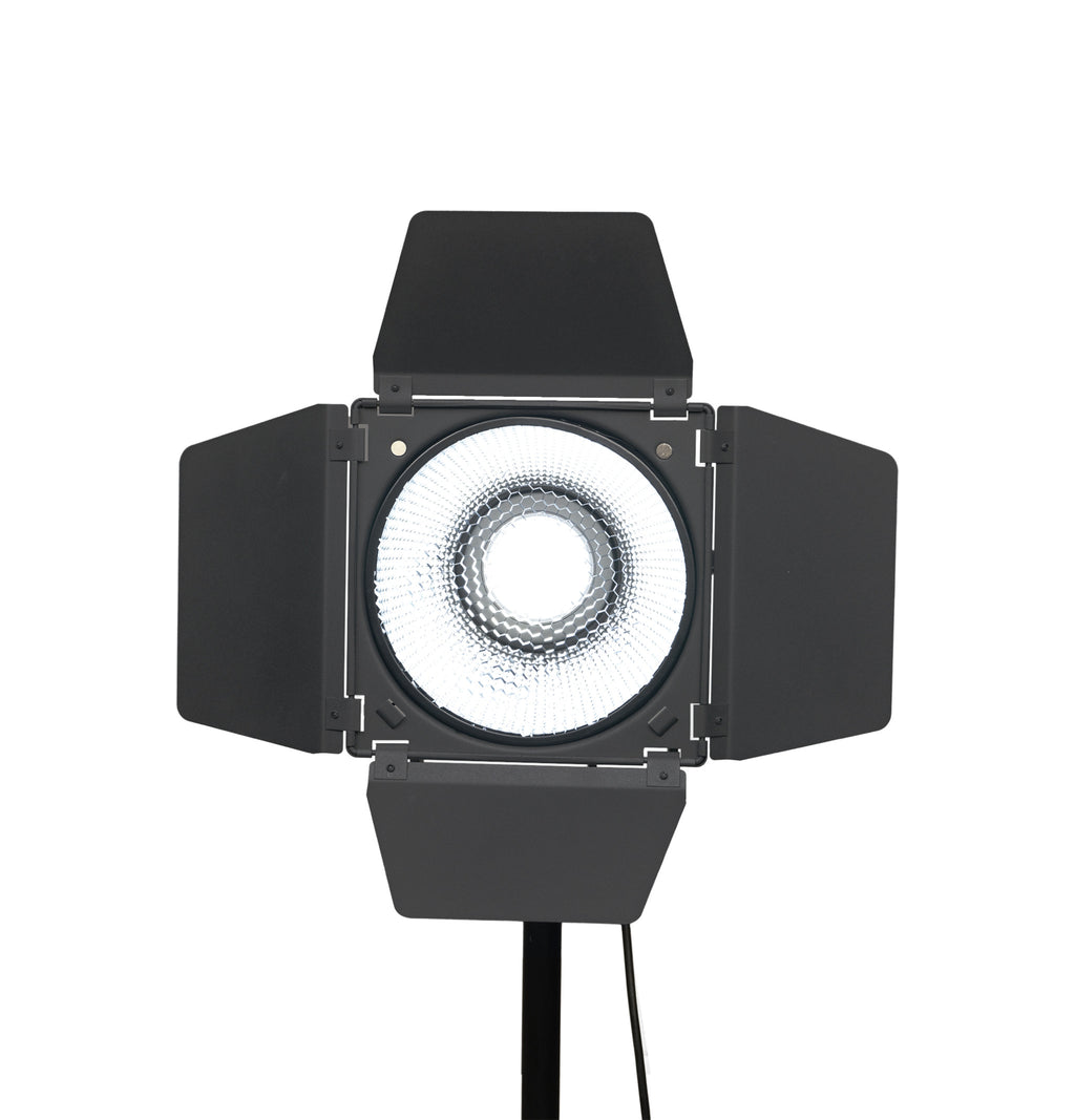 NANLITE BD-BM-RF45 Lichtklappenvorsatz